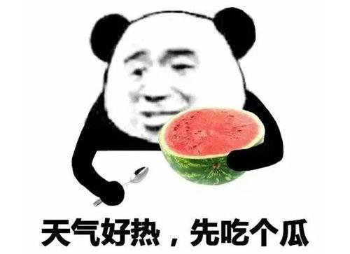 吃瓜表情的意思是什么,网络热词背后的文化现象