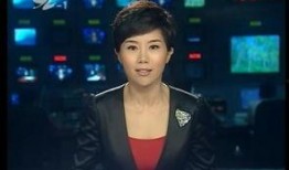 番禺电视台新闻爆料,揭秘番禺某重大事件真相